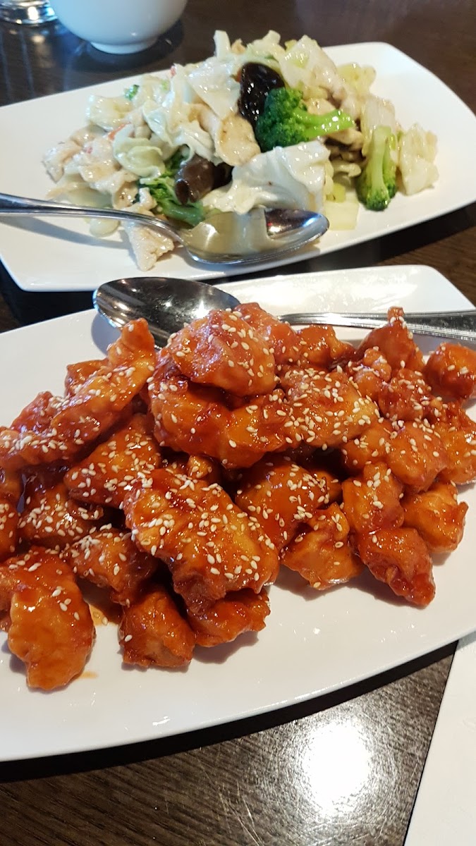 Duck House Chinese Restaurant-10