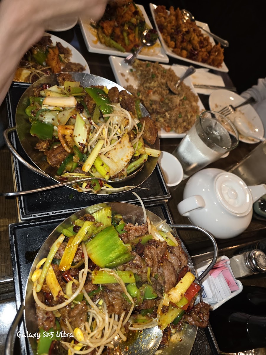 Duck House Chinese Restaurant-4